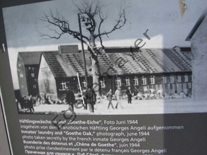 Buchenwald-3
